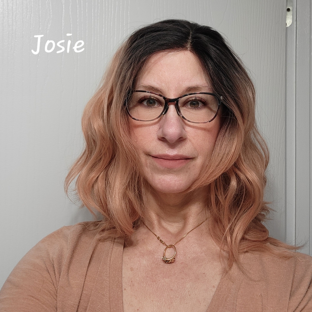 NWOT Nel's Wigs Lace Front Josie Ombre Wig